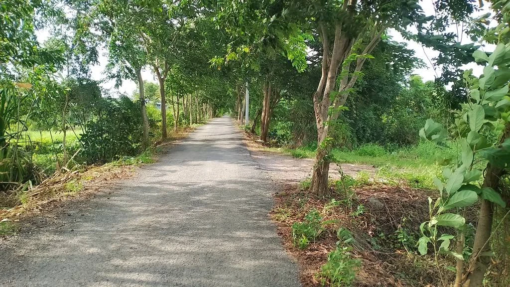 Bán đất vườn 2 công giá 5 tỷ Bình Chánh - Ảnh 1