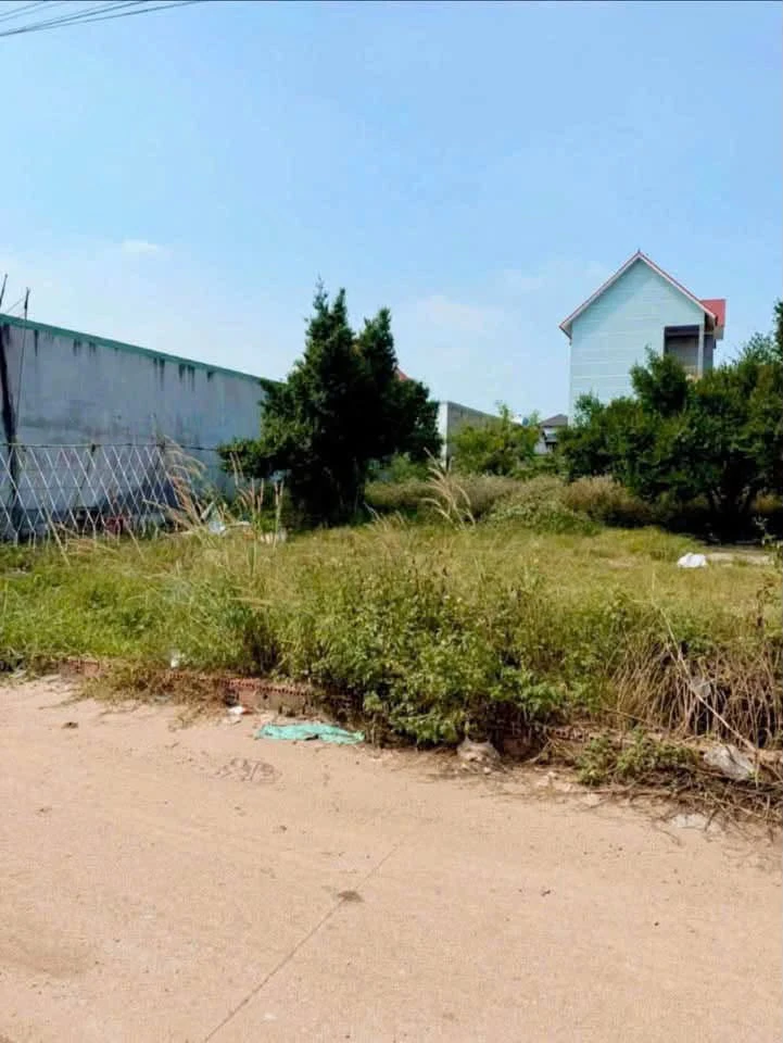 Bán đất Khánh Bình 989m2, gần ngã tư Khánh Bình - Ảnh 1