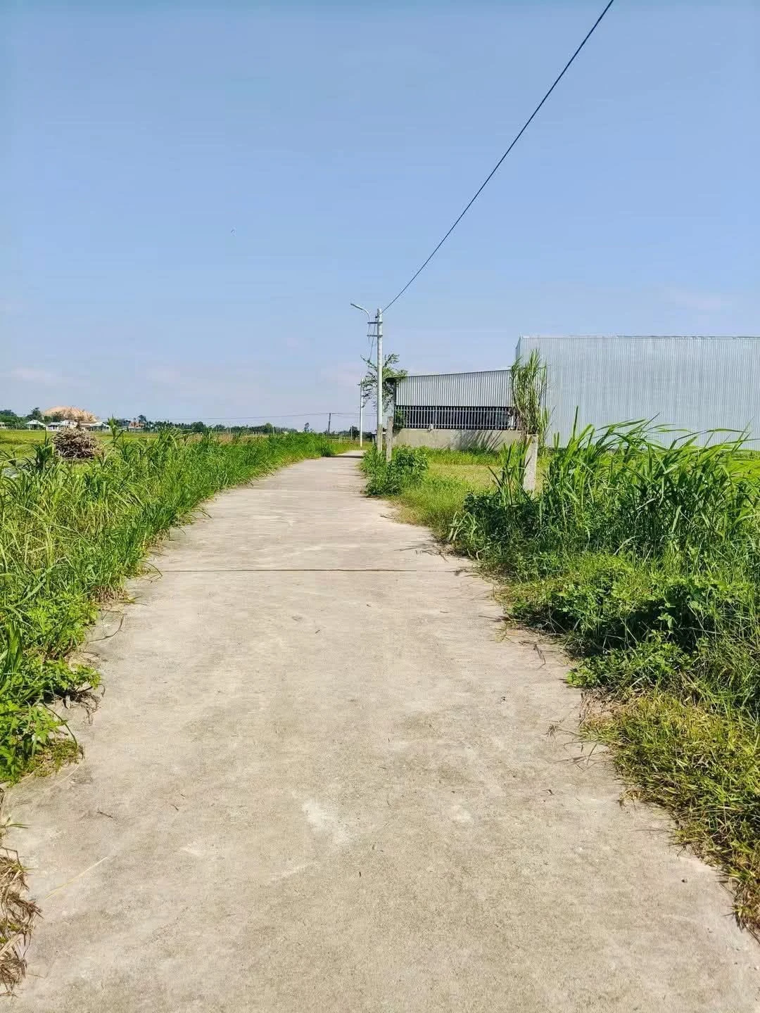 Bán đất Trương Quang Trọng 182m2, Hóc Môn 4 tỷ - Ảnh 1