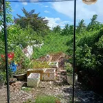 Bán nền hẻm Trần Quảng Khải An Hòa 112.5m2 giá 800 triệu - Ảnh thu nhỏ 2