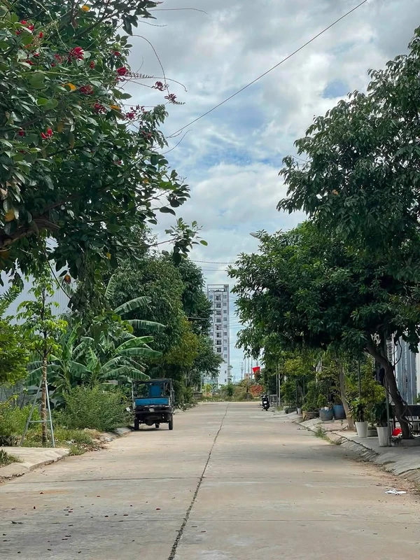 Bán đất khu dân cư 100m² Trương Quang Trọng, Thủ Đức phumydong