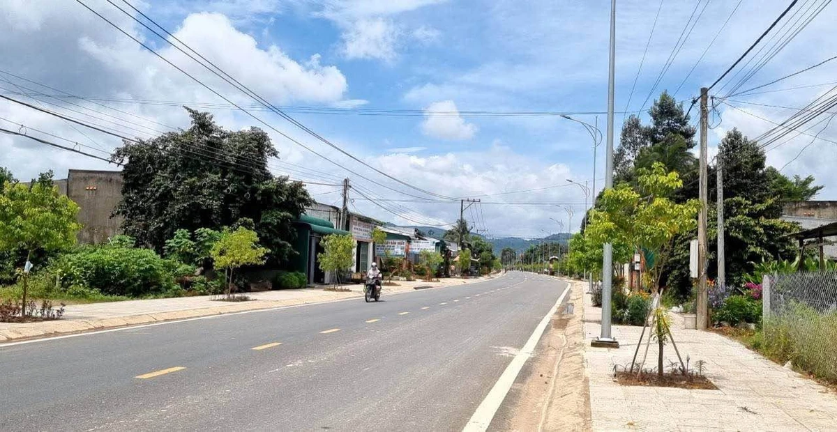 Bán đất 300m² mặt tiền Lâm Đồng 2,2 tỷ - Ảnh thu nhỏ 2