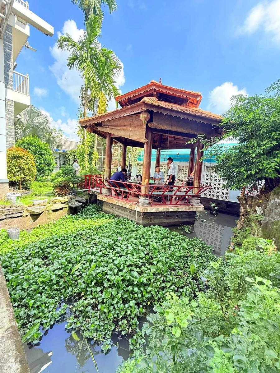 Biệt thự sân vườn Phú Mỹ 707m² – 10,5 tỷ - Ảnh thu nhỏ 4