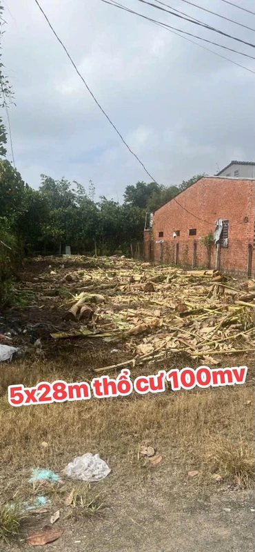 Bán đất 140m² Đường 24 Nguyễn Lương Bằng, Tây Ninh