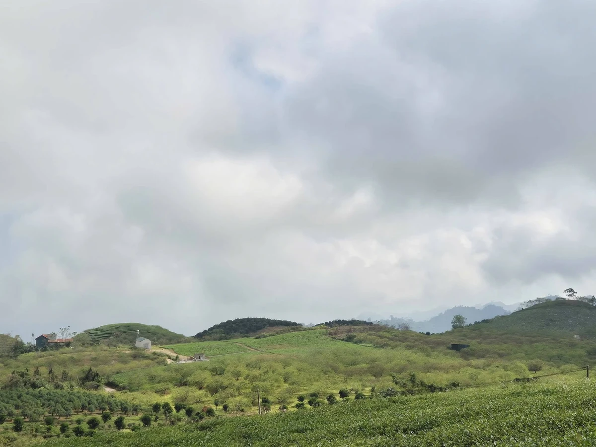 Bán đất Tân Yên Sơn La 50000m² giá 11 tỷ view đẹp - Ảnh thu nhỏ 3
