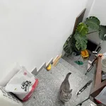 Bán nhà mặt tiền Quận 11, 71.7m², 2PN, 4.58 tỷ - Ảnh thu nhỏ 3