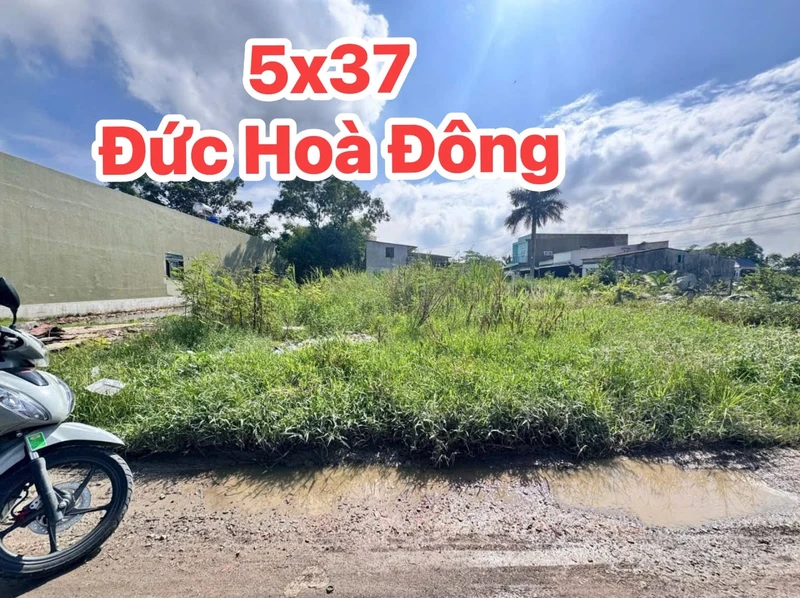 Bán đất Đức Hòa Đông 185 m² 1 tỷ 250