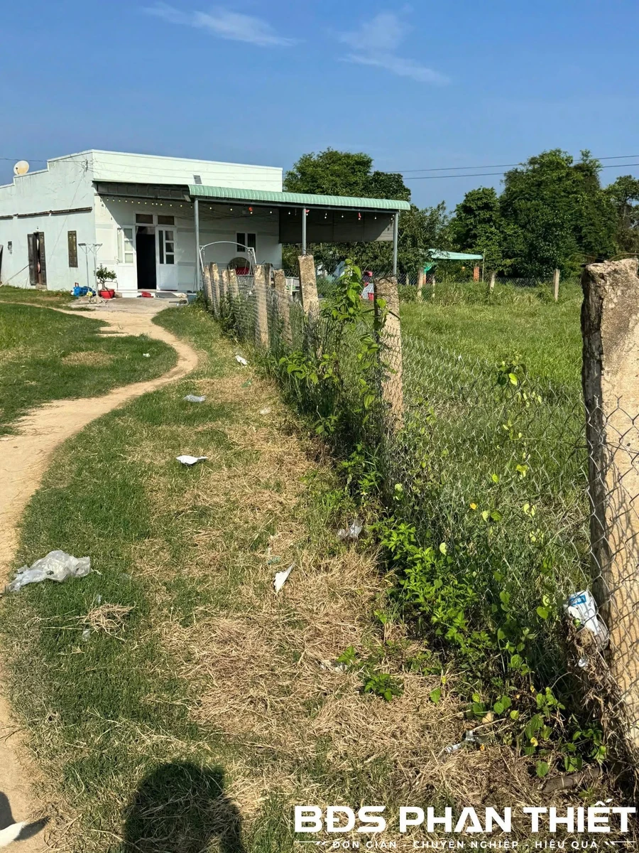 Bán đất vườn Ma Lâm 1000 m² giá 500 triệu - Ảnh thu nhỏ 5