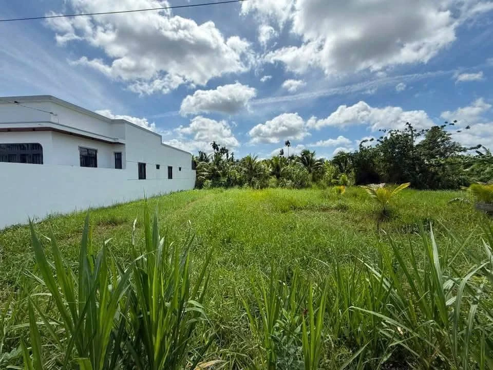 Bán đất Phú Tân Bình Tân 130m² giá 500 triệu - Ảnh thu nhỏ 4