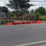 Bán đất mặt tiền Hùng Vương 505m2 (150m2 thổ cư) xã Phú Đông, Nhà Bè - Ảnh thu nhỏ 2