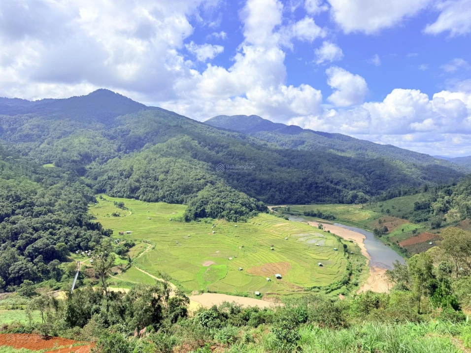 Đất đồi Konturang view đẹp. Gần thác Pa Sỹ khu hot ở Măng Đen - Ảnh thu nhỏ 2