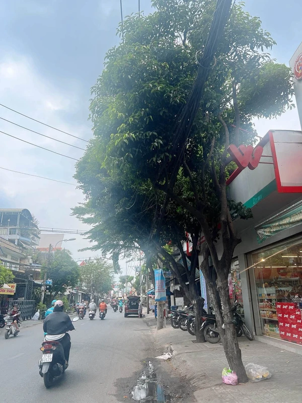 Bán nhà cấp 4 mặt tiền Huỳnh Thị Thanh 4 Tân An Long An 135 m² 3 tỷ 200 triệu zigbee