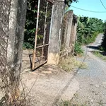 Bán đất Thanh Bình Bình Chánh 36x100m 520 tr/sào - Ảnh thu nhỏ 1