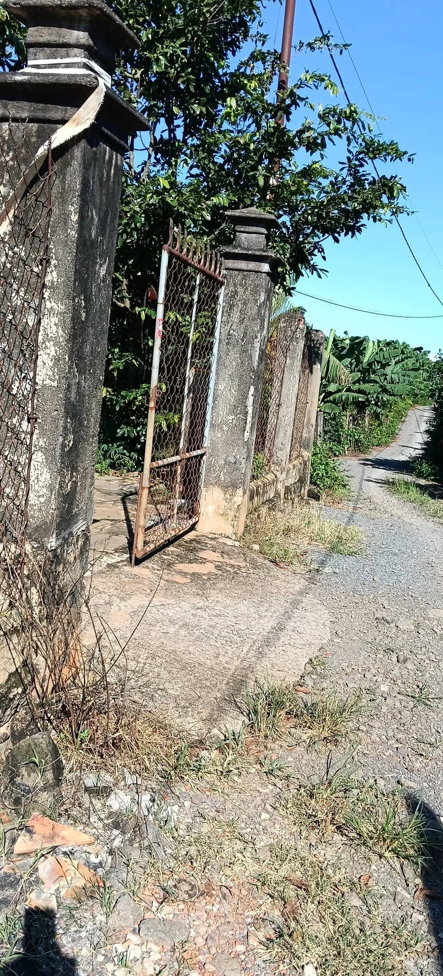 Bán đất Thanh Bình Bình Chánh 36x100m 520 tr/sào - Ảnh 1