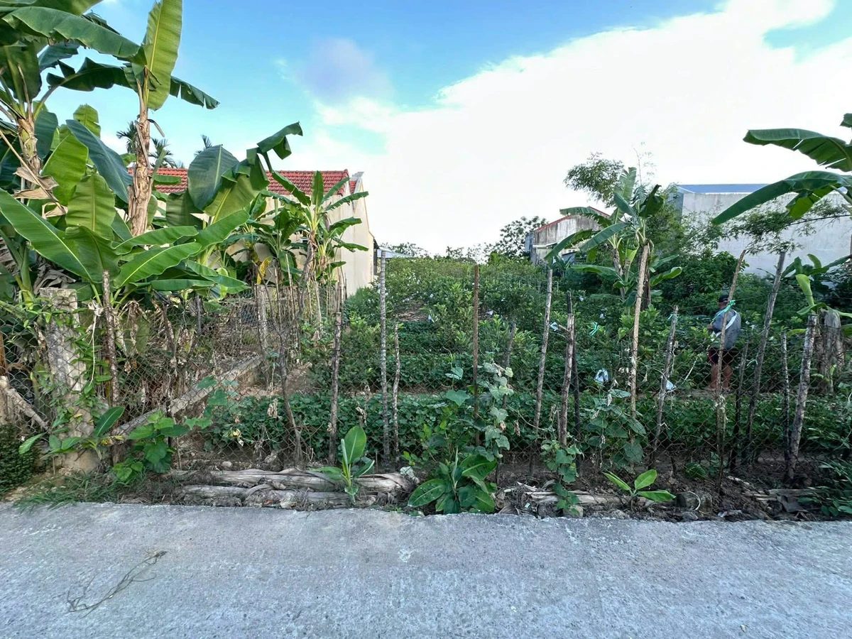 Bán lô đất Chiết Bi Mỹ Thượng 111m2, 1,65 tỷ - Ảnh thu nhỏ 2