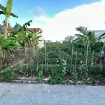 Bán lô đất Chiết Bi Mỹ Thượng 111m2, 1,65 tỷ - Ảnh thu nhỏ 2