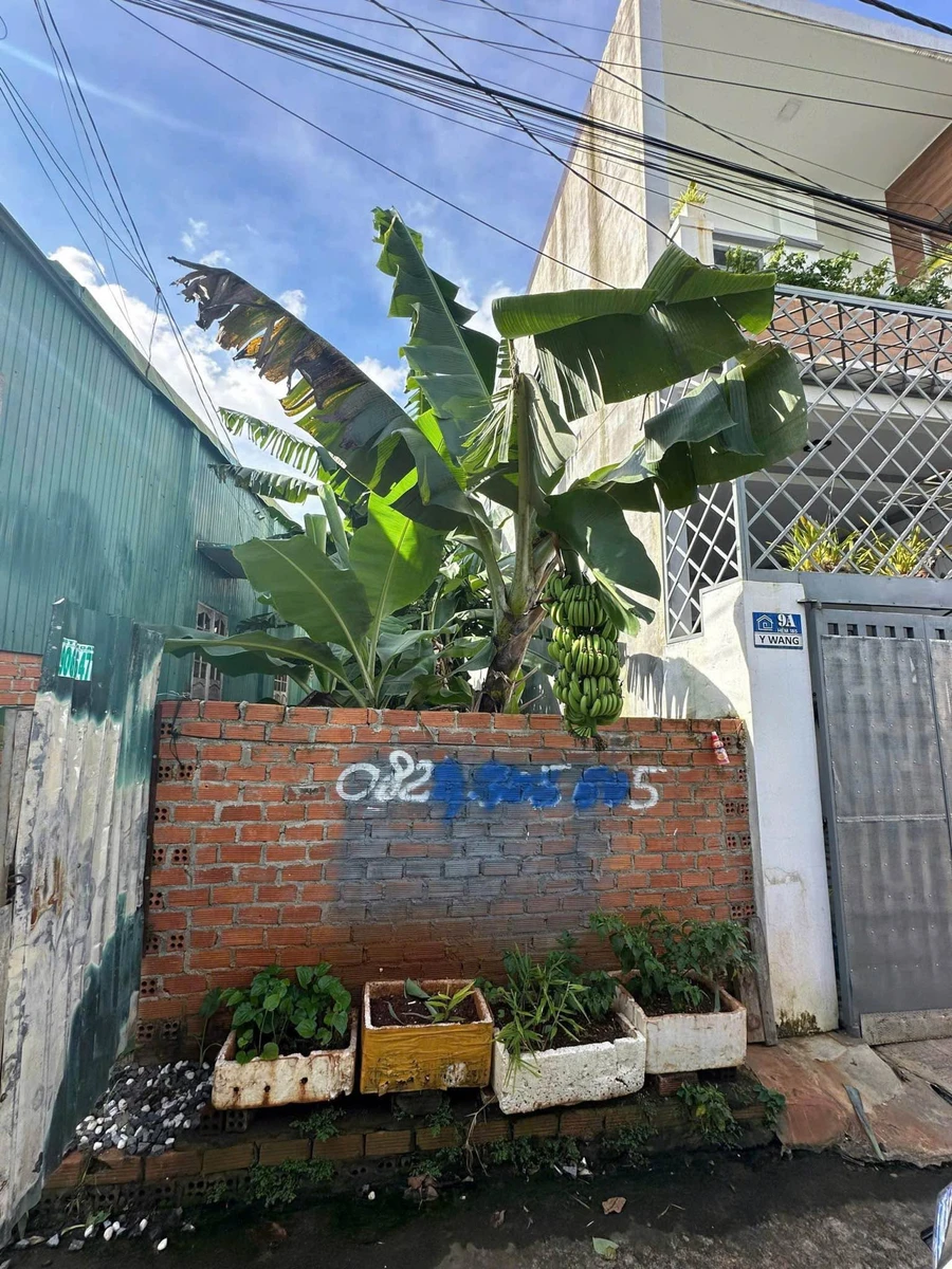 Bán đất hẻm 185 Ywang Phường Eakao gần ĐH Tây Nguyên 81.7m2 1,79 tỷ - Ảnh thu nhỏ 2
