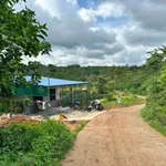 Bán đất full thổ cư Hoà Ninh 7x35, Nhà Bè - Ảnh thu nhỏ 1
