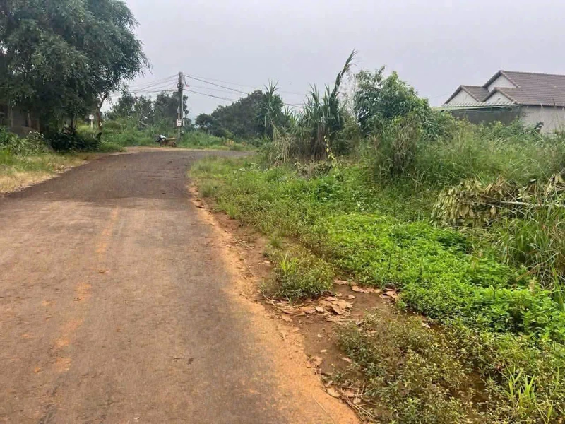 Bán đất mặt tiền 300m² Tân Tiến Lâm Đồng 420 triệu