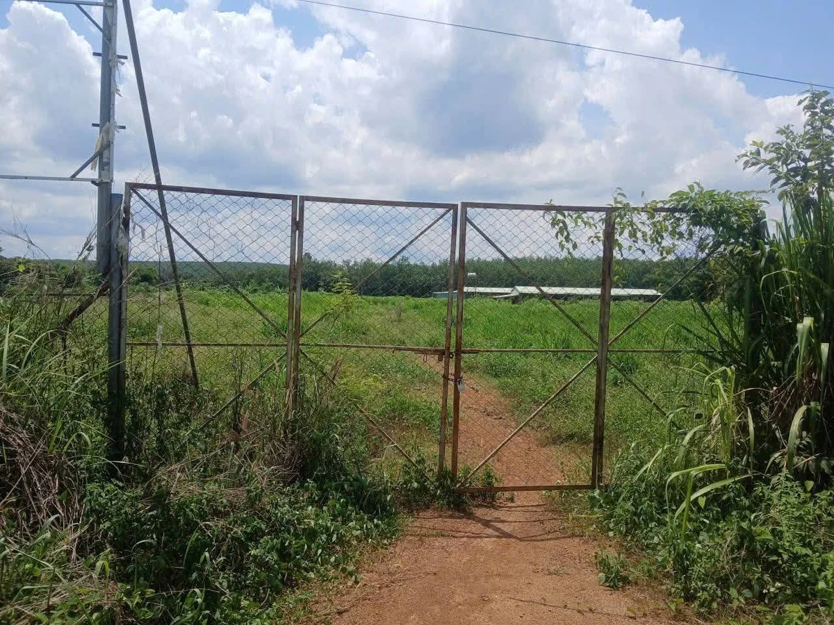 Bán 2,1ha đất thổ cư tại Đồng Phú, Bình Phước, giá 12 tỷ - Ảnh thu nhỏ 3