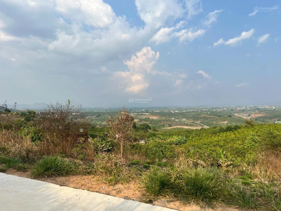Bán 1 sào đất view săn mây đường ô tô tại Tân Hà, Lâm Hà, Lâm Đồng - Ảnh thu nhỏ 5