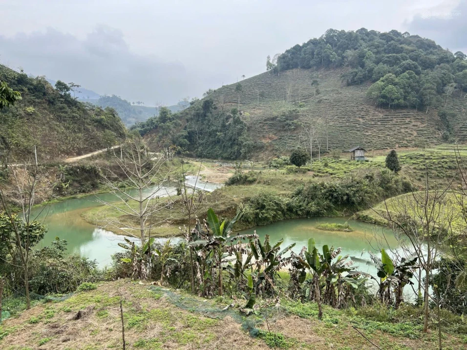 Cần tiền bán đất vị trí đắc địa để kinh doanh nghỉ dưỡng du lịch ở khu du lịch quốc gia Mộc Châu - Ảnh thu nhỏ 2