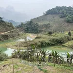 Cần tiền bán đất vị trí đắc địa để kinh doanh nghỉ dưỡng du lịch ở khu du lịch quốc gia Mộc Châu - Ảnh thu nhỏ 2