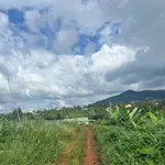 Bán đất 407m2 tại Đinh Lạc, Di Linh, Lâm Đồng - 850 triệu - Ảnh thu nhỏ 5
