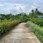 Bán nhà cấp bốn 576m² Châu Thành Long An 950 triệu - Ảnh thu nhỏ 4