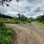 Bán vườn cà phê 1,7ha gần Cụm công nghiệp Hòa Phú, Buôn Ma Thuột - Ảnh thu nhỏ 1