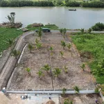 Bán 2 lô đất vườn 750m2 mặt tiền sông Vàm Cỏ Bến Lức - Ảnh thu nhỏ 2