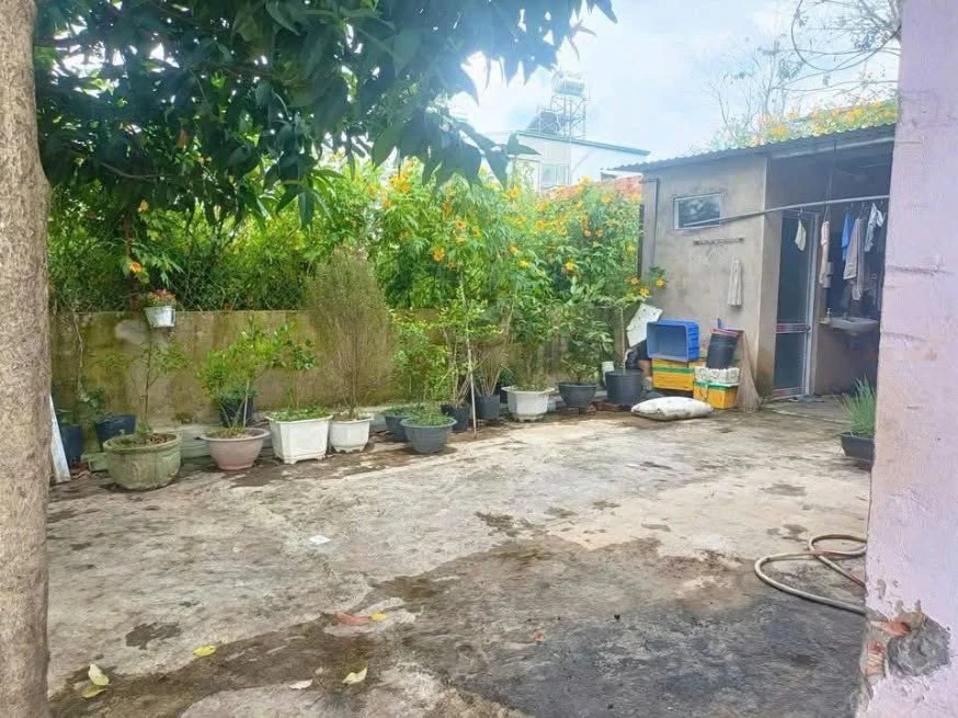 Bán đất 151.6m² tặng nhà ở Đà Lạt, 3.9 tỷ - Ảnh thu nhỏ 5