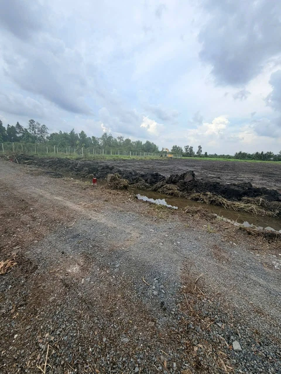 Bán đất vườn 3625m² Bình Đức Tây Ninh 2,35 tỷ - Ảnh 1