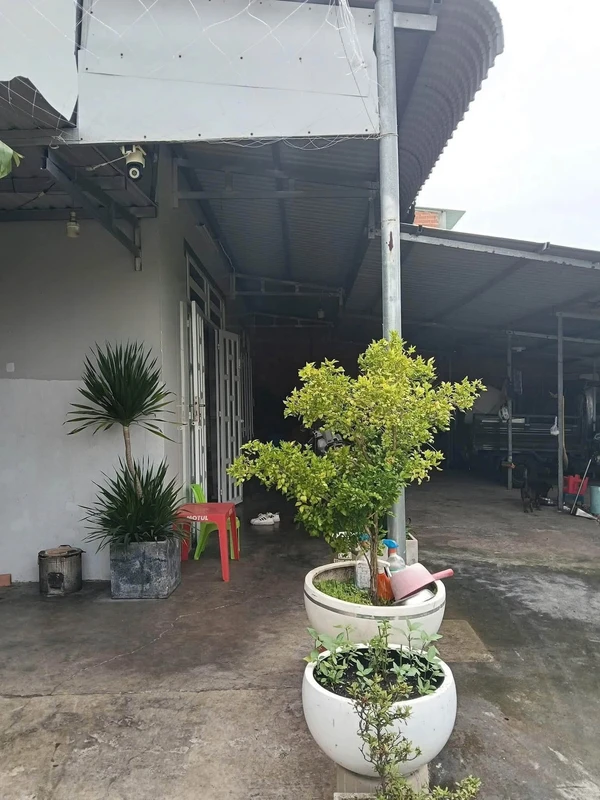 Bán nhà Tân Hưng 109m2, 1 tỷ 250 triệu