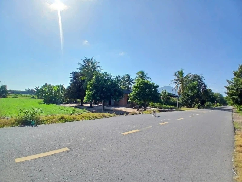 Bán đất Tây Ninh 1088m², giá 75 triệu