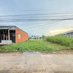 Bán lô đất nền Cần Giờ 138m2, 550 triệu - Ảnh thu nhỏ 2