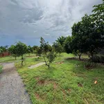 Bán đất Long Tân 1686m2 giá 2 tỷ 3 - Ảnh thu nhỏ 2