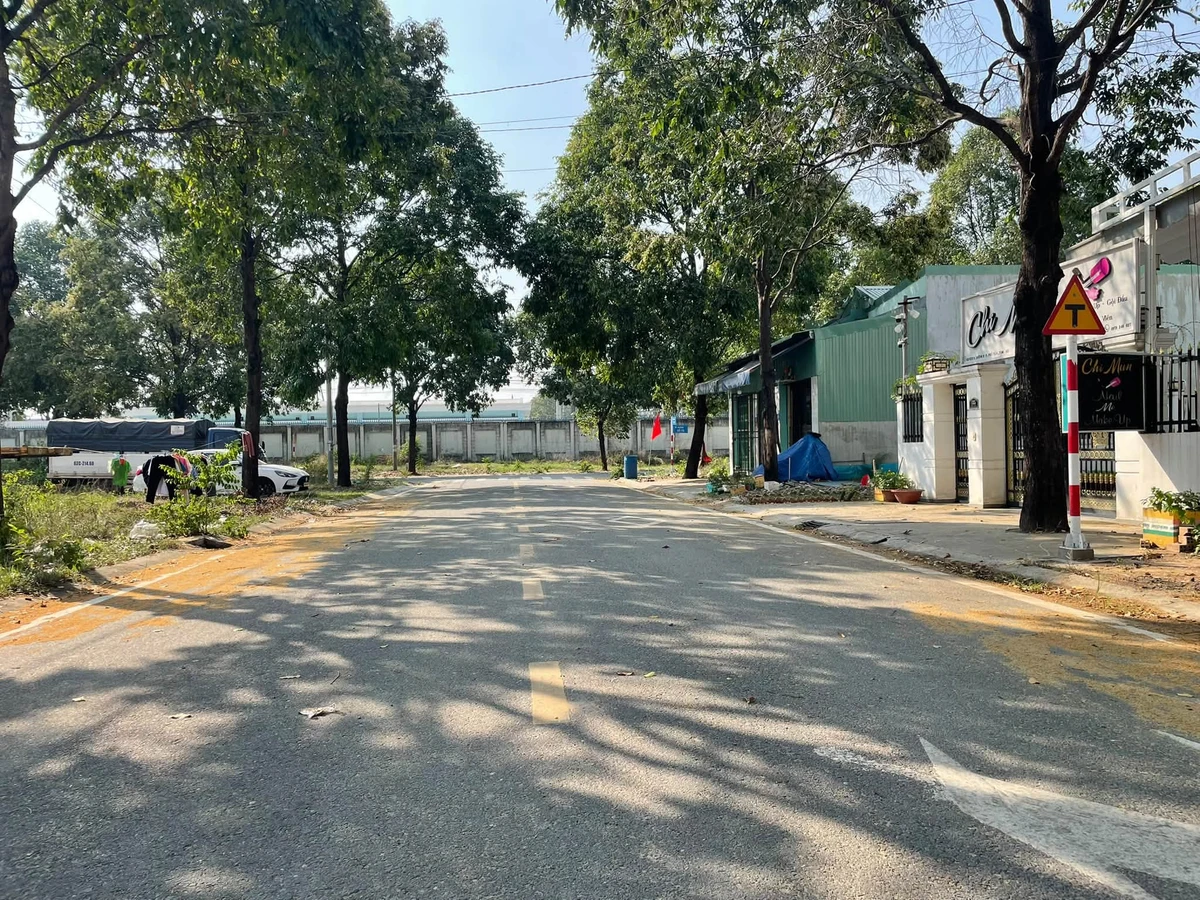 Bán đất 150m² Bình Dương, 2 tỷ - Ảnh thu nhỏ 3