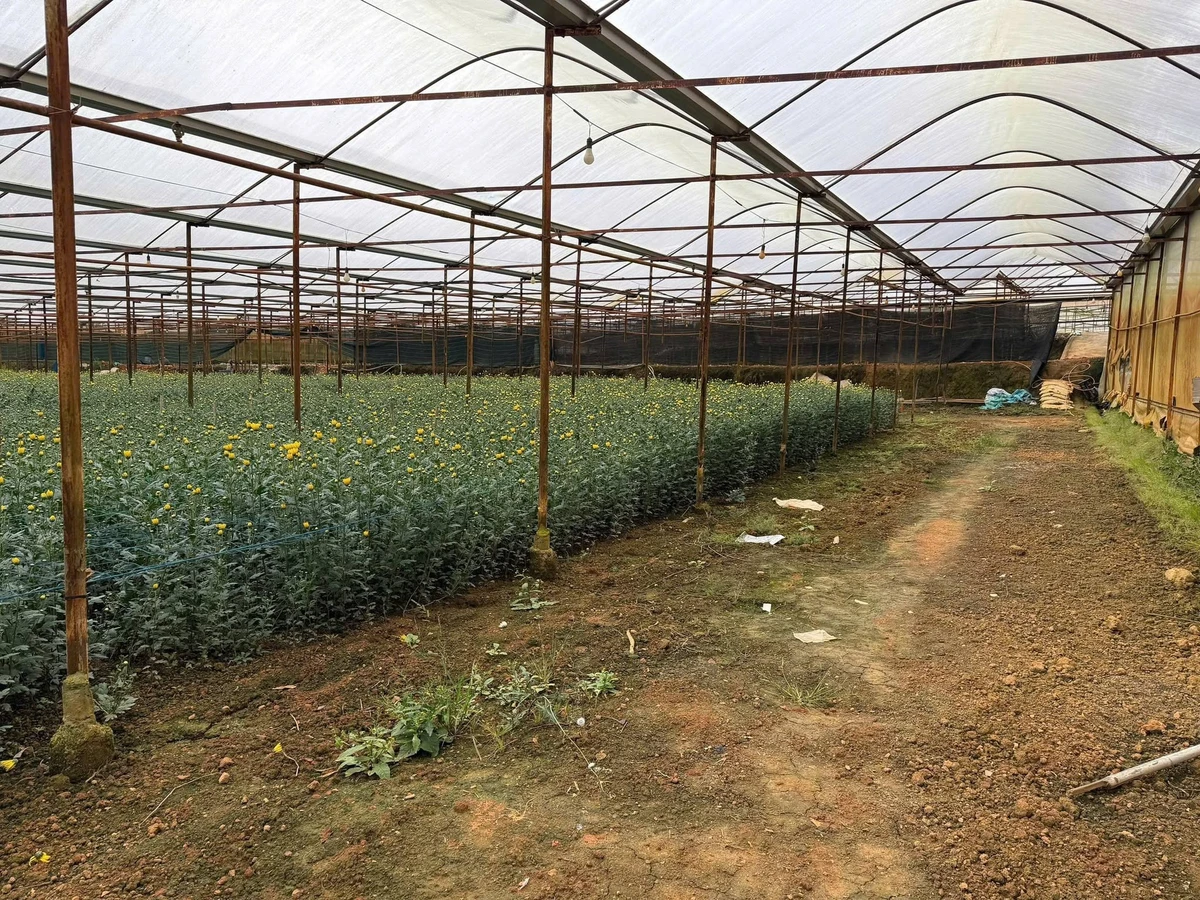 Bán đất 4000m² Hồ Than Thở, Đà Lạt 26,9 tỷ - Ảnh thu nhỏ 2