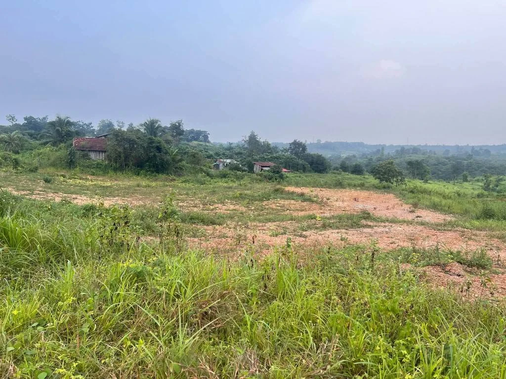 Bán đất nền 1000m² tại Buôn Đôn, Đắk Nông 165 triệu - Ảnh thu nhỏ 2