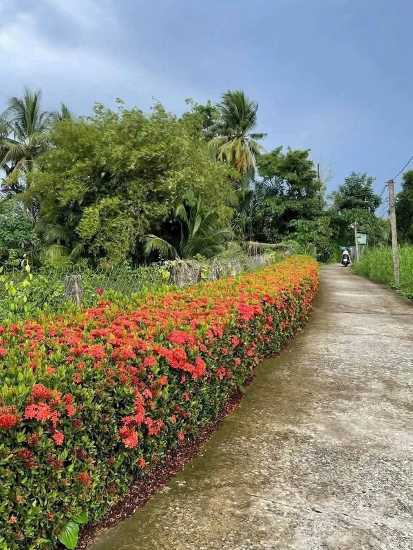 Bán nhà cấp bốn 576m² Châu Thành Long An 950 triệu