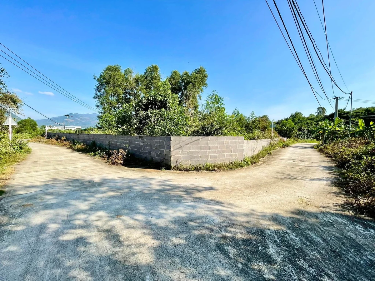 Bán đất 1.500m2, 3 mặt tiền Suối Cát, Khánh Hòa - Ảnh thu nhỏ 5