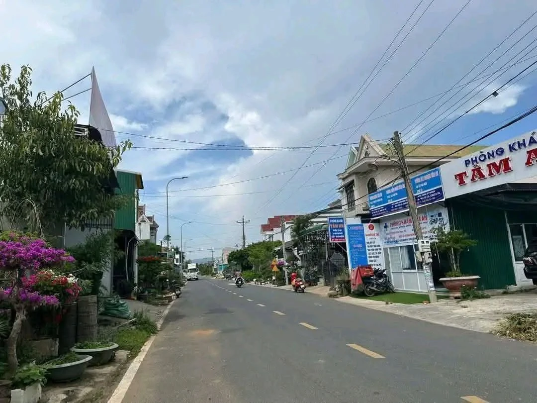 Bán đất mặt tiền Trần Hưng Đạo 115m² 2 tỷ 300 triệu Đơn Dương - Ảnh 1