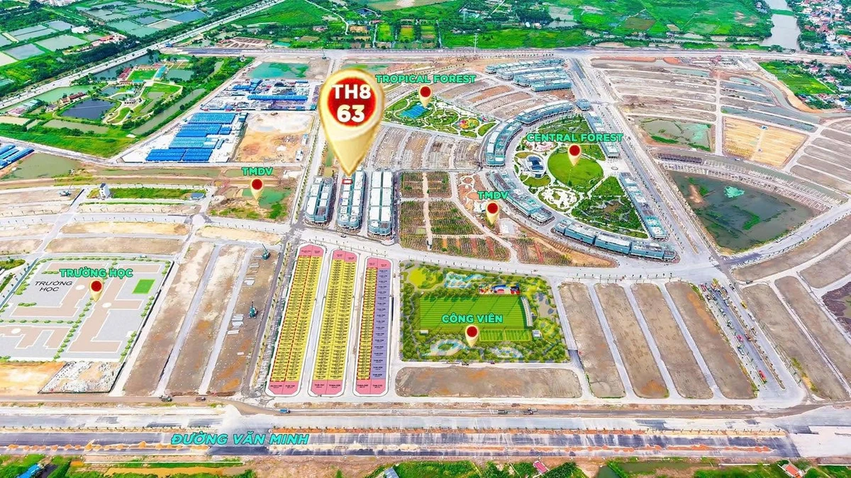 Bán song lập 329m² giá 12,07 tỷ Thiên Hà Thủ Đức - Ảnh thu nhỏ 3