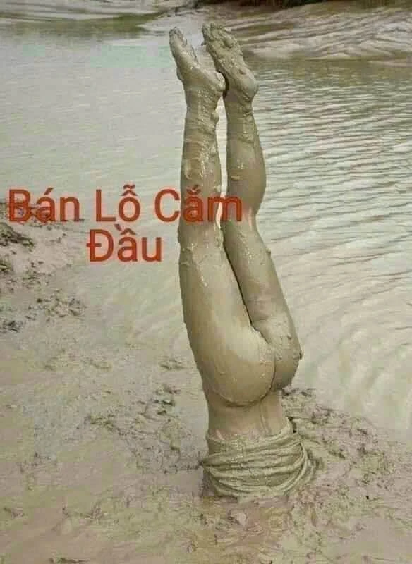 Bán đất mặt tiền Trảng Bàng 185m2, giá 1,25 tỷ