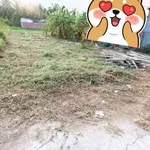 Bán nền đất 125m² Phường Phú Tân, Bình Tân - Ảnh thu nhỏ 3