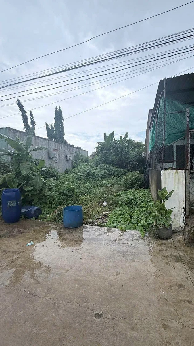 Bán lô đất 196m2 gần KCN Hố Nai Bình Dương 490 triệu - Ảnh thu nhỏ 3