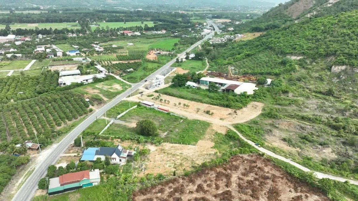 Bán đất 126m² MT42m TL3 Nha Trang 9,5tr/m² - Ảnh thu nhỏ 2