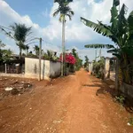 Bán 3 lô đất liền kề 240m² gần KCN Phú Xuân 450 triệu - Ảnh thu nhỏ 4
