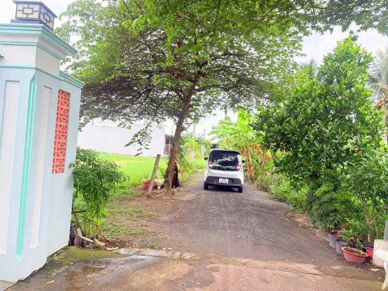 Bán đất 136m² Phường Sơn Đông, Bến Tre 395 triệu